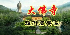美女黑丝喷水视频播放器中国浙江-新昌大佛寺旅游风景区